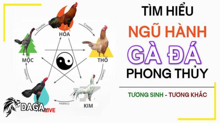 Cách Coi Ngày Đá Gà Hôm Nay Theo Ngũ Hành Tốt 34 Cách Coi Ngày Đá Gà Hôm Nay Theo Ngũ Hành Tốt