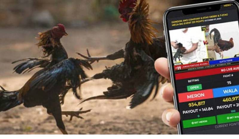 Đá Gà Online Có Bị Bắt Không? Giải Đáp Rõ Ràng Nhất 6 Chủ quan về hành vi phạm tội