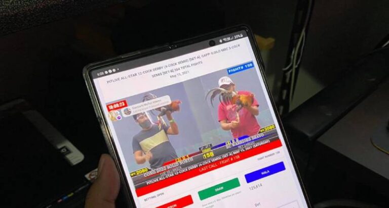 Đá Gà Online Có Bị Bắt Không? Giải Đáp Rõ Ràng Nhất 1 Da Ga Online Co Bi Bat Khong Giai Dap Ro Rang Nhat