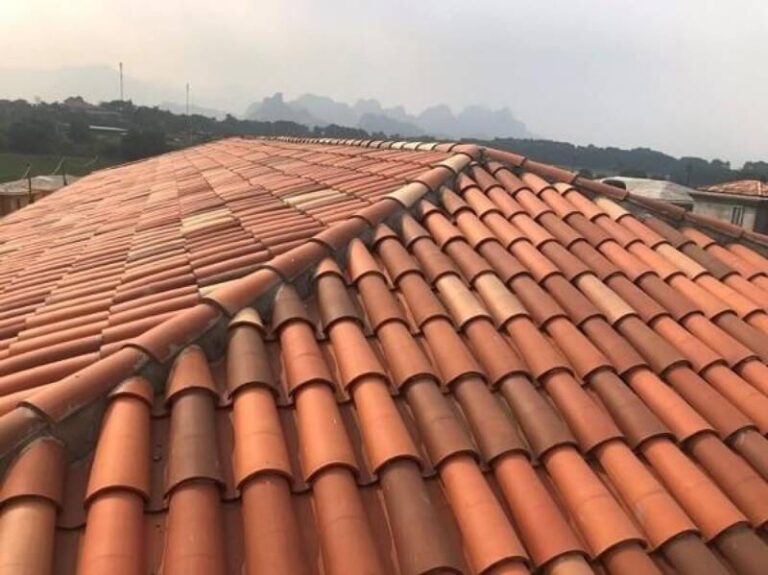Giải Mã Điềm Báo Mơ Thấy Nóc Nhà Và Con Lô May Mắn 11 Giai Ma Diem Bao Mo Thay Noc Nha Va Con Lo May Man