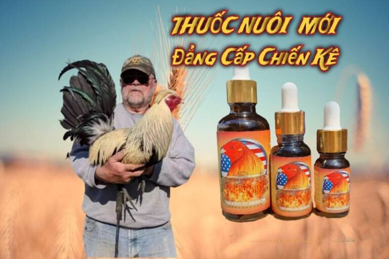 Thuốc Nuôi Gà Đá Tốt Nhất - Khỏe Mạnh, Nâng Cao Kỹ Năng Đá 58 Thuoc Nuoi Ga Da Tot Nhat Khoe Manh Nang Cao Ky Nang Da