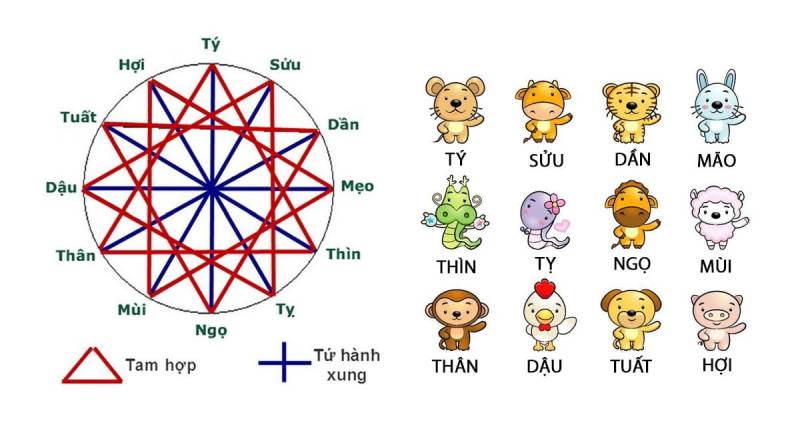 Coi Ngày Đá Gà Hôm Nay Theo 12 Con Giáp Chuẩn Nhất 4 Tránh Con Giáp Xung Khắc